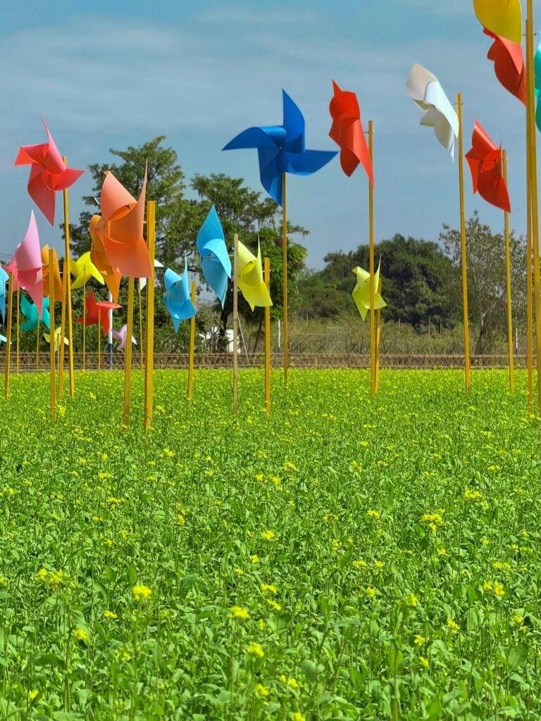 Rehiletes de colores girando con el viento en un campo