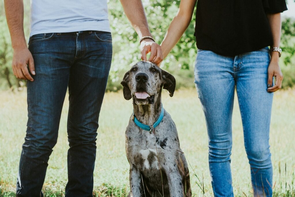 Una pareja acaricia a su perro adoptado en un parque de Monterrey