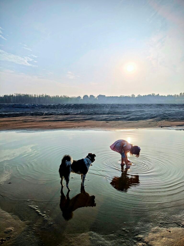 Una niña juega con su perro en un río al atardecer